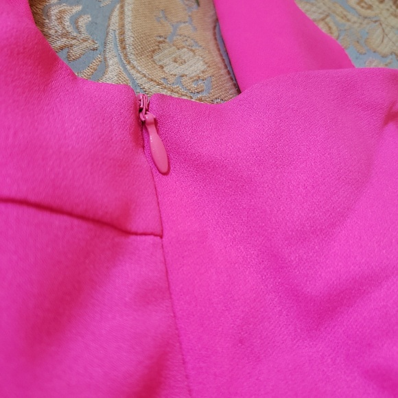 Shocking Pink Pleeted Dress - Picture 4 of 5